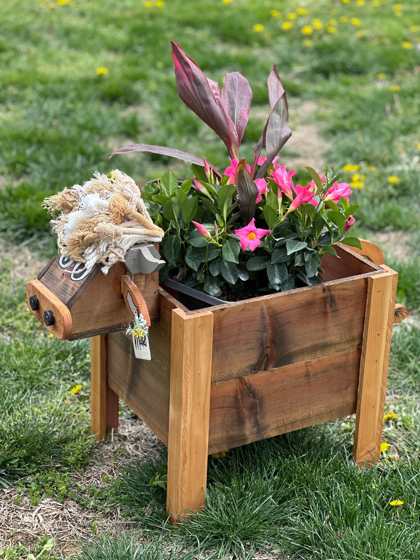 Highland Cow Cedar Planter