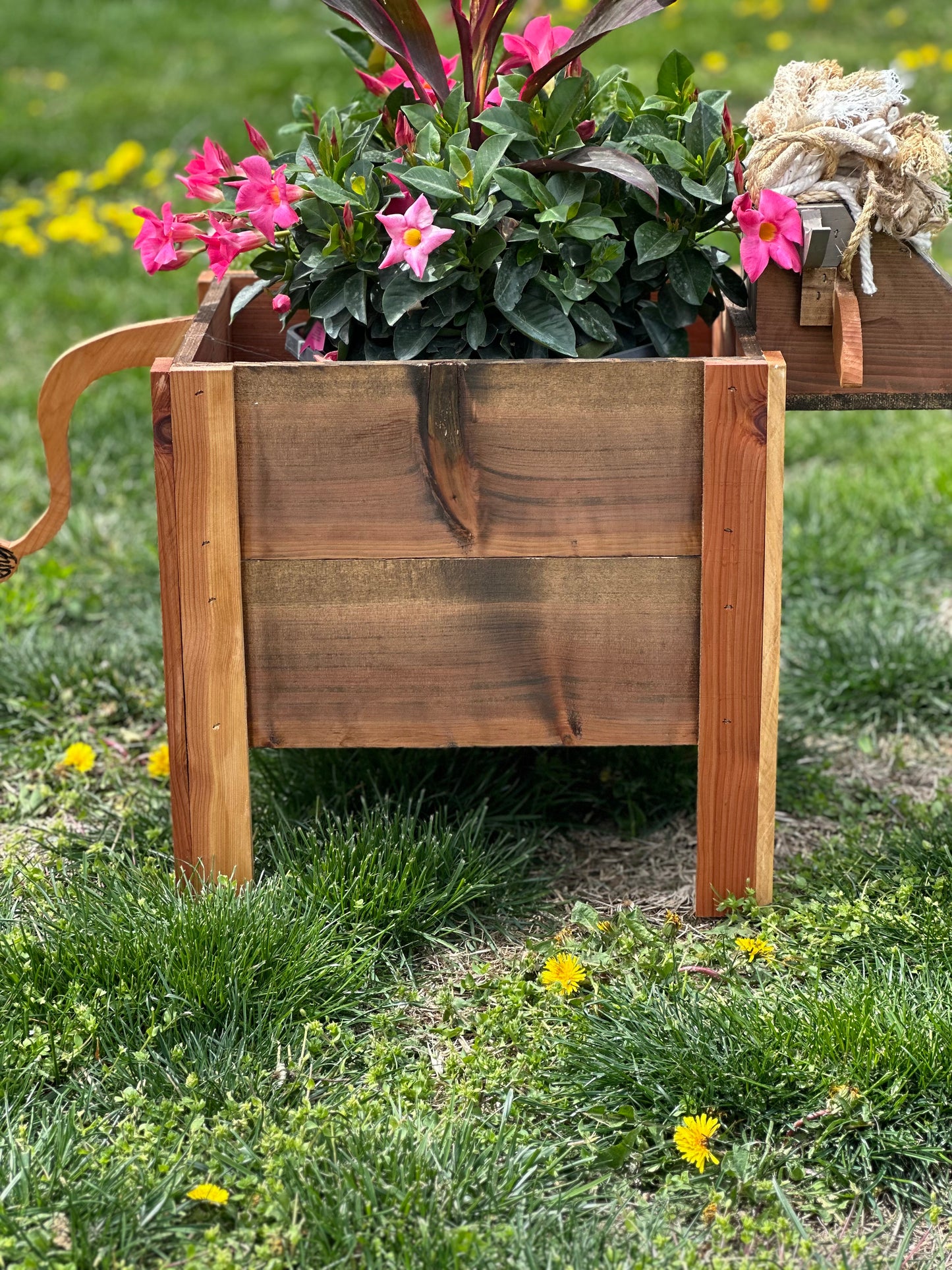 Highland Cow Cedar Planter