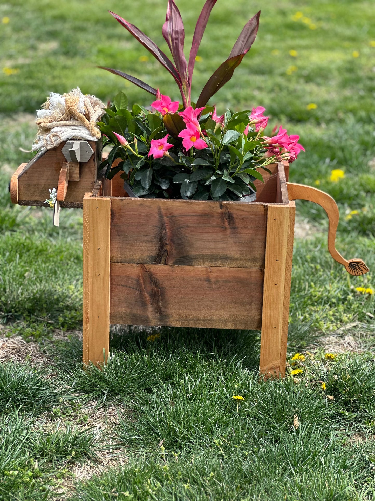 Highland Cow Cedar Planter