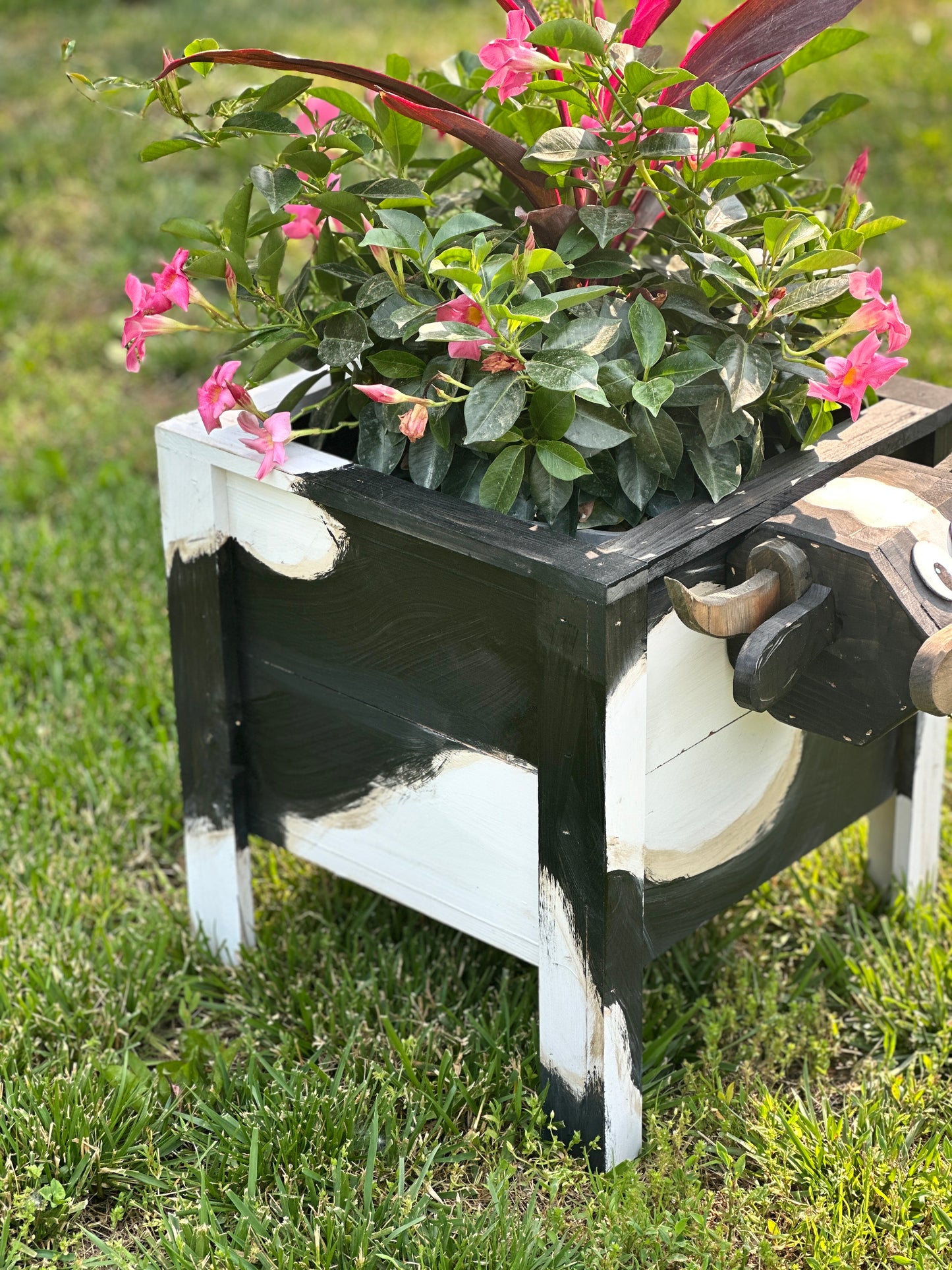 Holstein Cow Cedar Planter