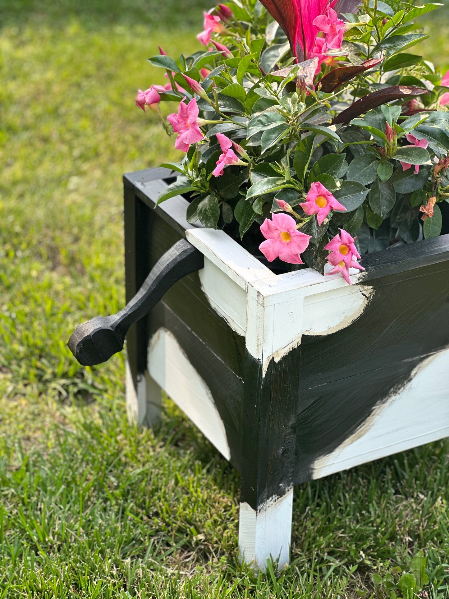 Holstein Cow Cedar Planter