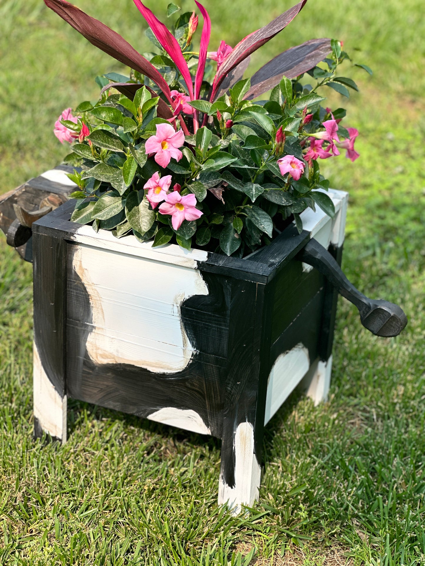 Holstein Cow Cedar Planter
